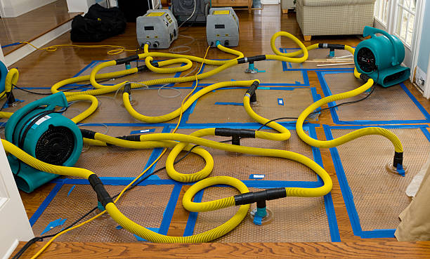 Professional Water Damage Restoration technician working in Lexington, AL